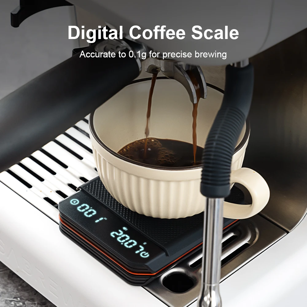 Báscula de cocina, accesorios  - Commercial Kitchen Setup reseña y precio