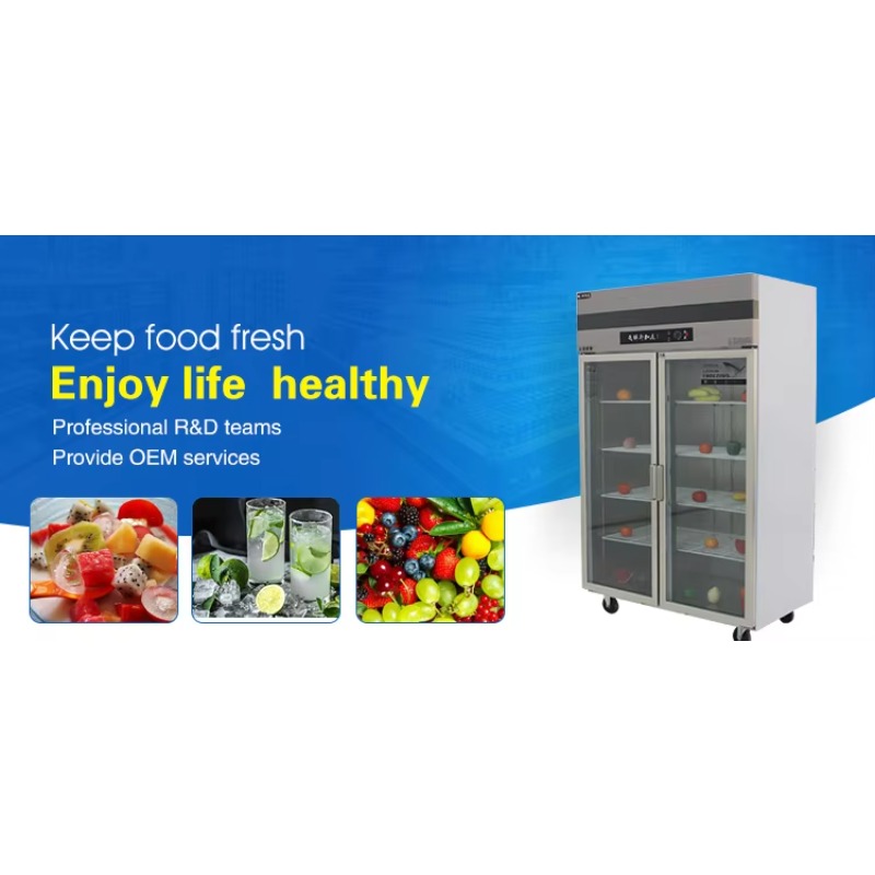 Refrigerador Comercial Persona - Commercial Kitchen reseña y precio